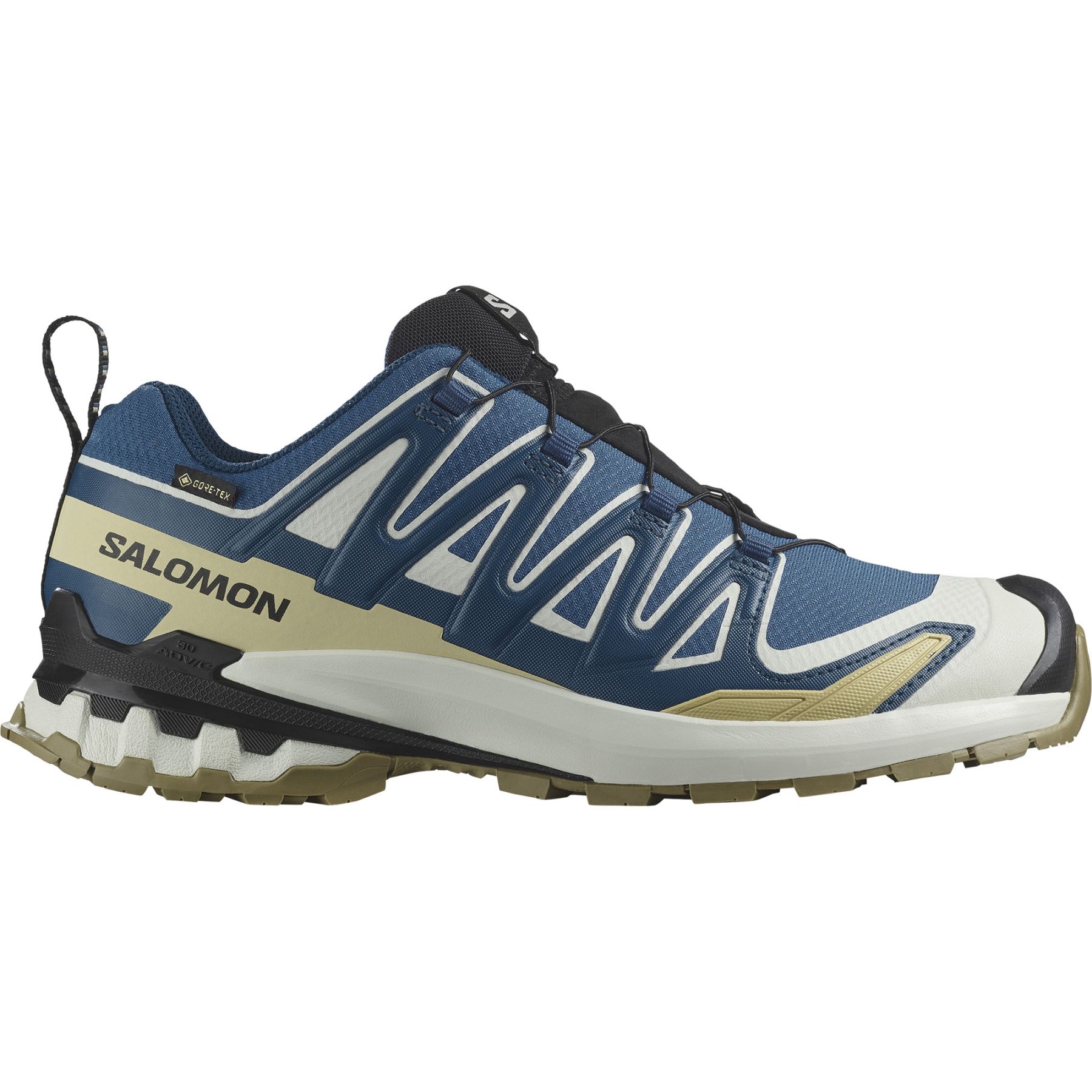 Salomon XA Pro 3D V9 GTX, buty trailowe, m?skie, niebieskie